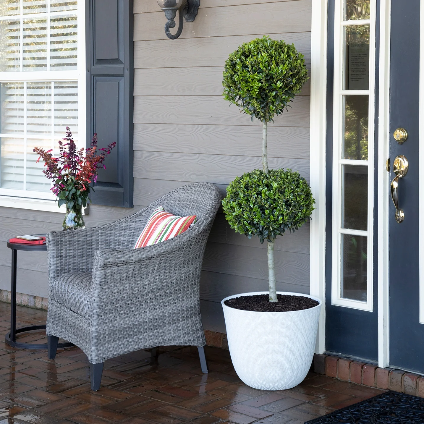 Emerald Colonnade® Holly 9 Emerald Colonnade® Holly