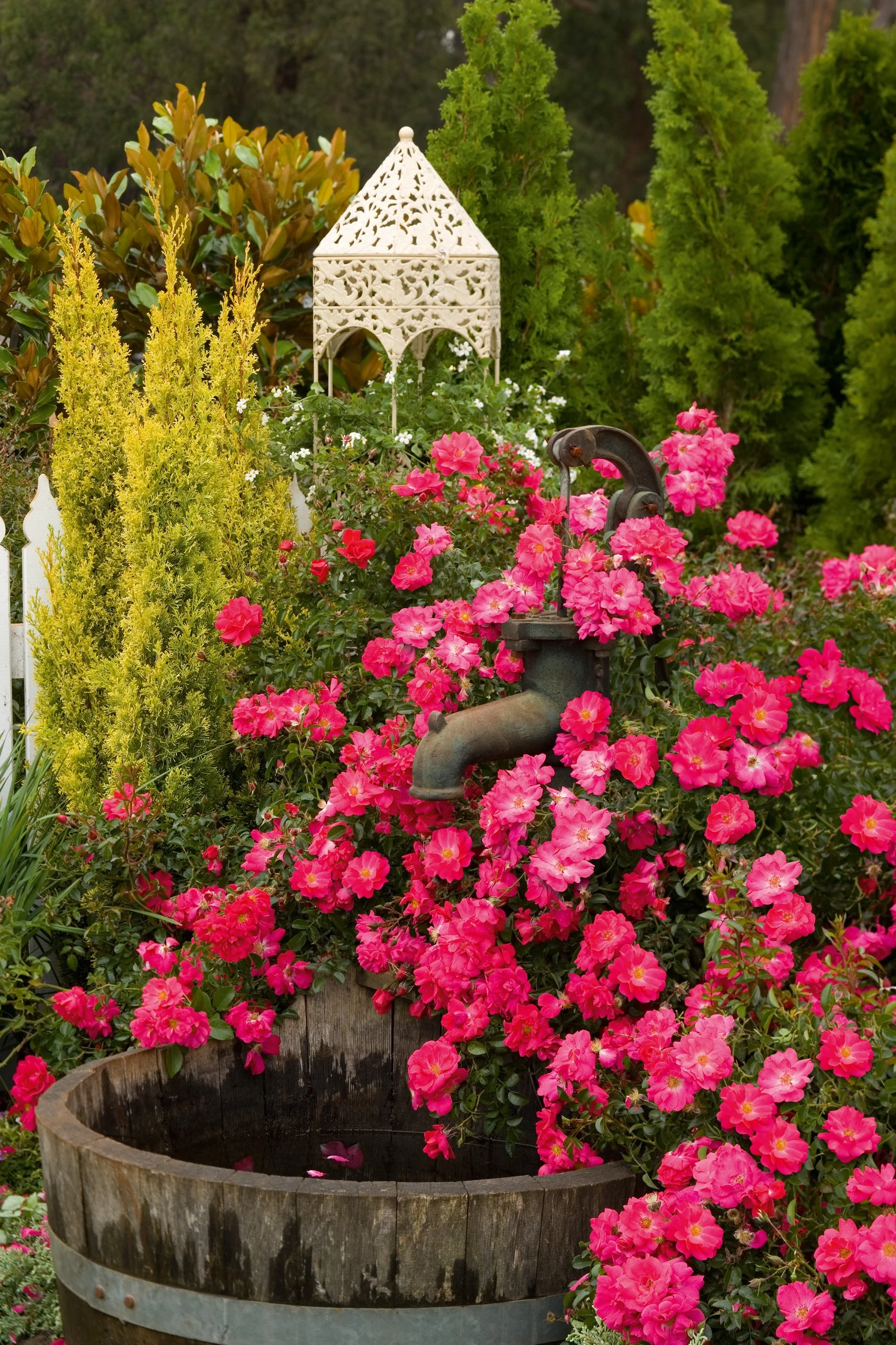 Flower Carpet® Pink Supreme Rose 9 Flower Carpet® Pink Supreme Rose