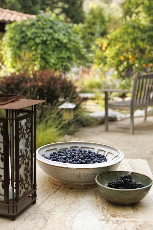 Bountiful™ Delight Blueberry