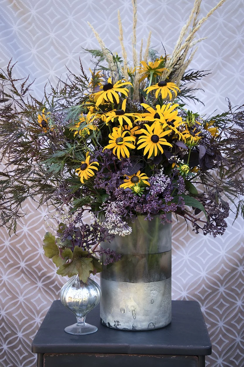 Goldsturm Black-Eyed Susan 4 Goldsturm Black-Eyed Susan